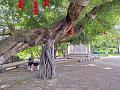 IMG-20240624-WA0015