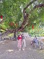 IMG-20240624-WA0021