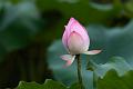 IMG-20240624-WA0091