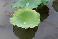 IMG-20240624-WA0093