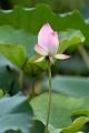 IMG-20240624-WA0094
