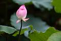 IMG-20240624-WA0097