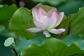 IMG-20240624-WA0098