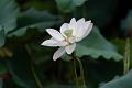 IMG-20240624-WA0099