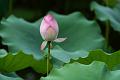 IMG-20240624-WA0100