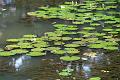 IMG-20240624-WA0104
