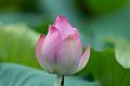 IMG-20240624-WA0108