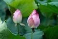 IMG-20240624-WA0109
