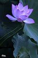 IMG-20240624-WA0111