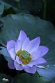 IMG-20240624-WA0113