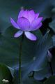 IMG-20240624-WA0116