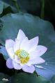IMG-20240624-WA0117