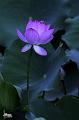 IMG-20240624-WA0118