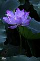 IMG-20240624-WA0122