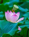 IMG-20240624-WA0127