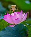 IMG-20240624-WA0128