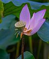 IMG-20240624-WA0130