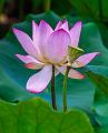 IMG-20240624-WA0134