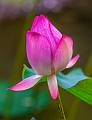 IMG-20240624-WA0135
