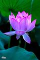 IMG-20240625-WA0114