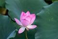 IMG-20240625-WA0129