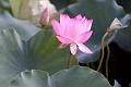 IMG-20240625-WA0134