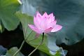 IMG-20240625-WA0137