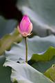 IMG-20240625-WA0138
