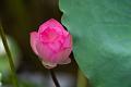 IMG-20240625-WA0140