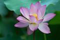 IMG-20240625-WA0144