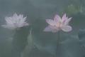 IMG-20240625-WA0147