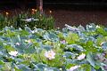 IMG-20240625-WA0183