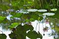 IMG-20240626-WA0058