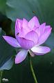 IMG-20240627-WA0000