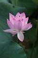 IMG-20240627-WA0002