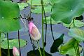 IMG-20240627-WA0003