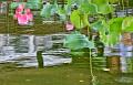 IMG-20240627-WA0004