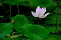 IMG-20240627-WA0006