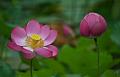 IMG-20240627-WA0007