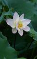 IMG-20240627-WA0034