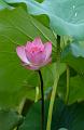 IMG-20240627-WA0036