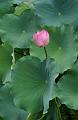 IMG-20240627-WA0037