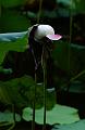 IMG-20240627-WA0040