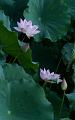 IMG-20240627-WA0048