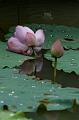 IMG-20240627-WA0051