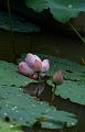 IMG-20240627-WA0052