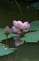 IMG-20240627-WA0053