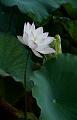IMG-20240627-WA0055