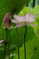 IMG-20240627-WA0056
