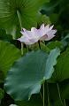 IMG-20240627-WA0057